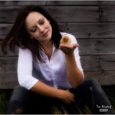 breezybirdfarms.com's icon