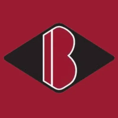 breiholz.com's icon