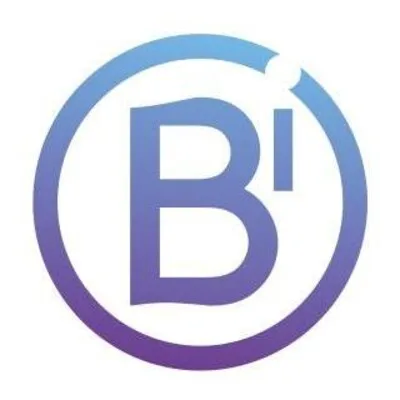 breizhinterim.com's icon