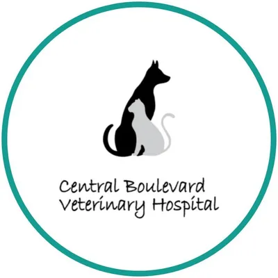 brentwoodpets.com's icon