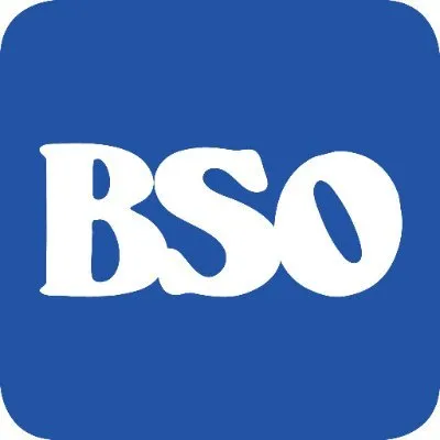 bresciaoggi.it's icon