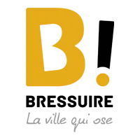 bressuire.fr's icon