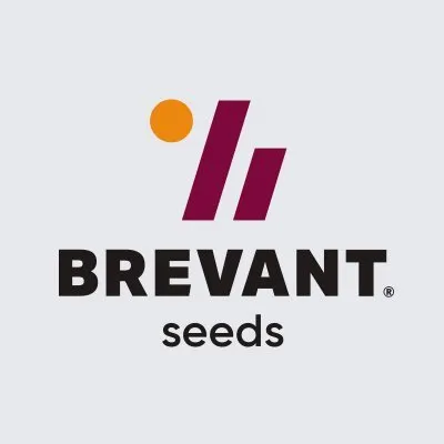 brevant.com's icon