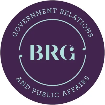 brg.co.nz's icon