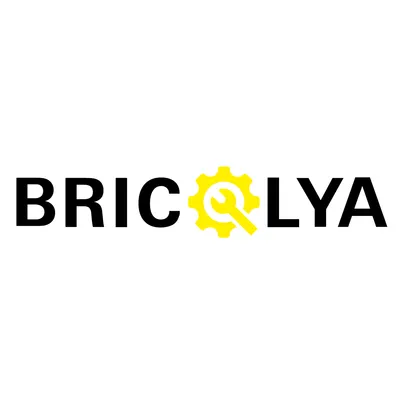 bricolya.com's icon
