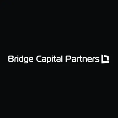 bridgecapartners.com's icon