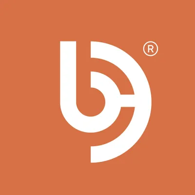 bridgeegypt.com's icon