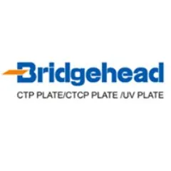 bridgehead.cn's icon