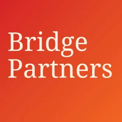 bridgepartnersllc.com's icon