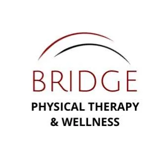 bridgeptandwellness.com's icon