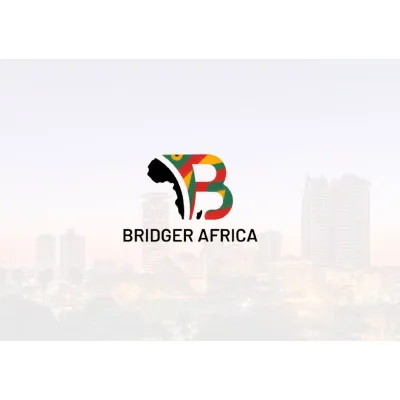 bridgerafrica.com's icon