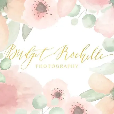 bridgetrochellephotography.com's icon