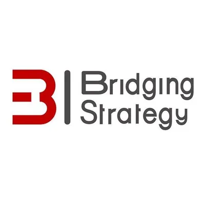 bridgingstrategy.net's icon