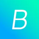 Bridg logo