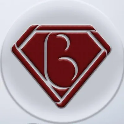 bridstudios.com's icon