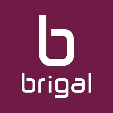 brigal.com's icon