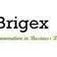 brigex.com's icon