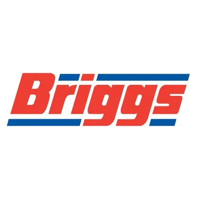 briggsmarine.com's icon