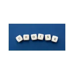 bright-choise.com's icon