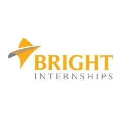 brightinternships.com's icon