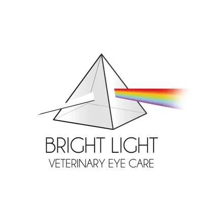 brightlightvet.ca's icon