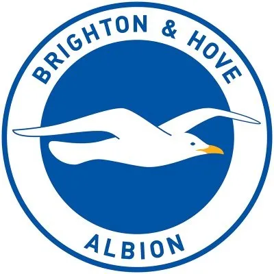 brightonandhovealbion.com's icon