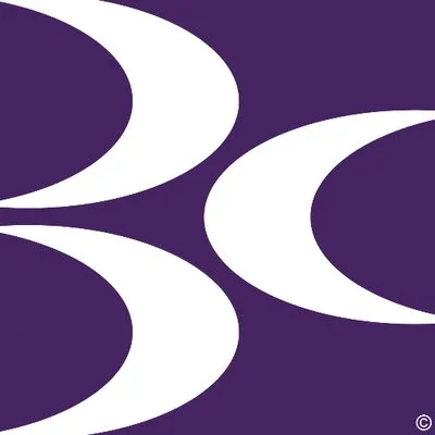 brightoncentre.co.uk's icon