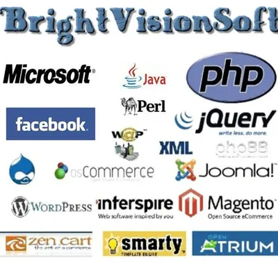 brightvisionsoft.com's icon