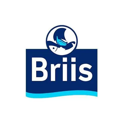 briis.eu's icon