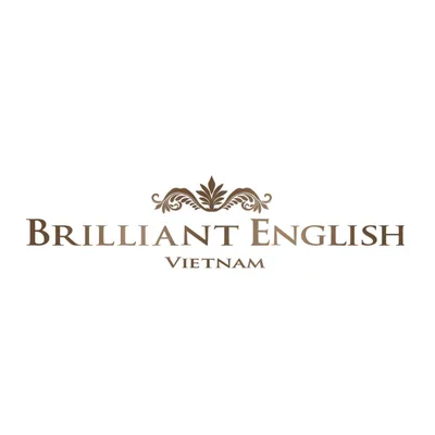 brilliant-vn.com's icon