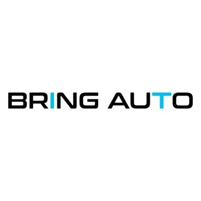 bringauto.com's icon
