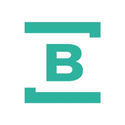 brinkindustrial.com's icon