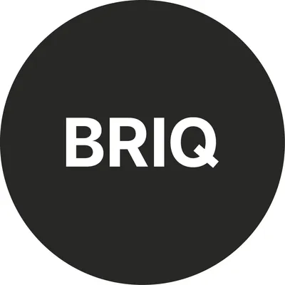 briqgroup.com's icon