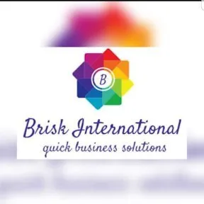 briskinternationals.com's icon