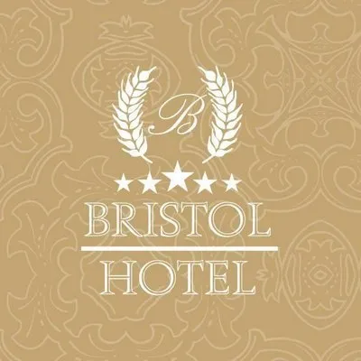 bristolamman.com's icon