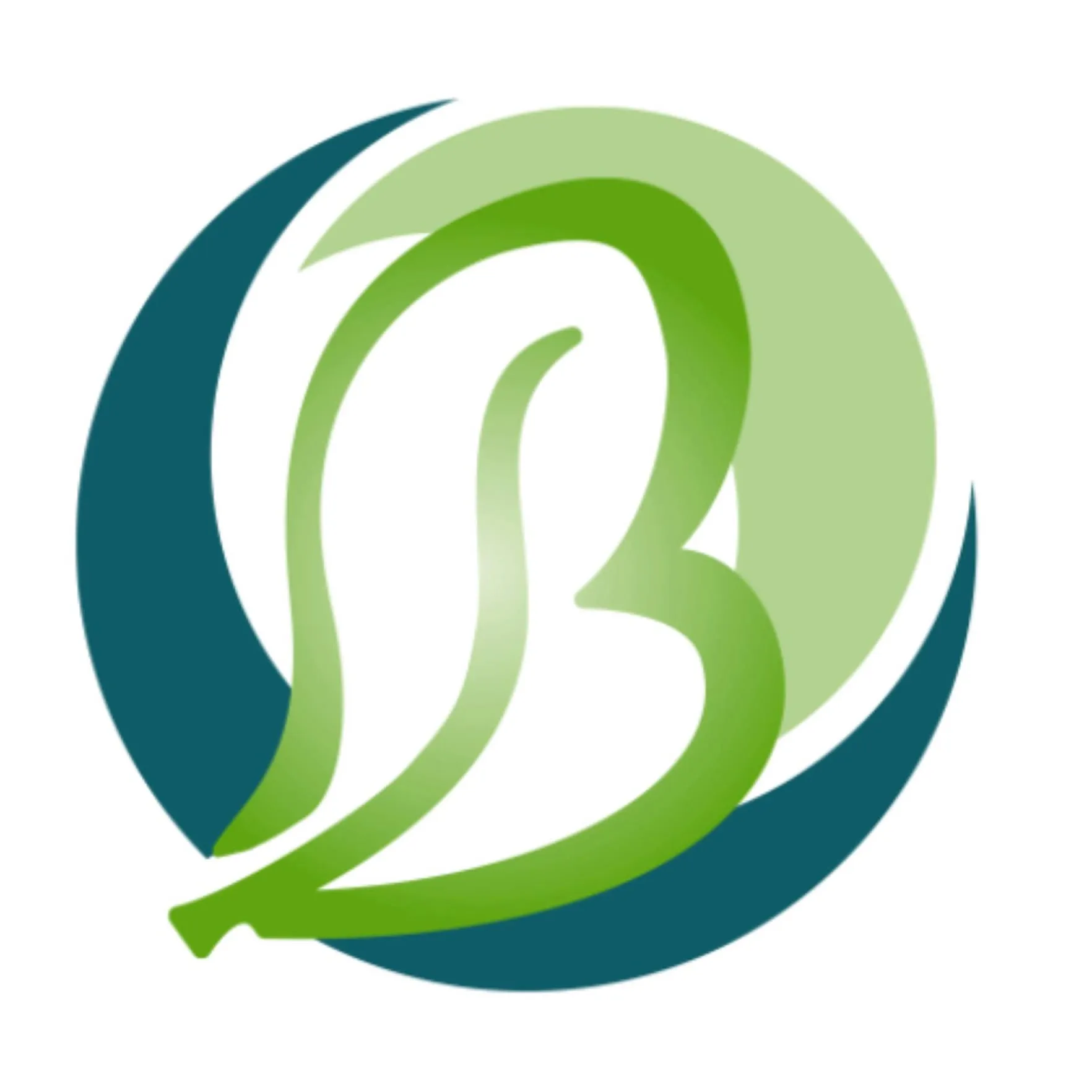 Hospice Volunteer Opportunity Image