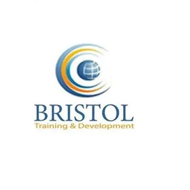 bristoltd.com's icon