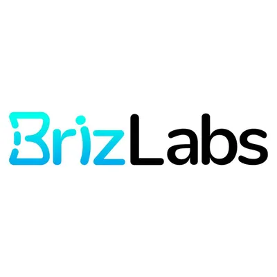 brizlabs.com's icon