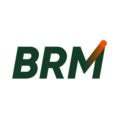 brm.com's icon
