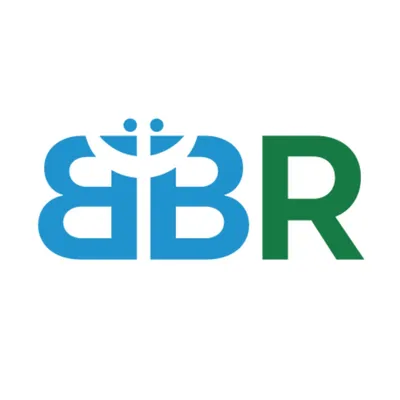 brobyggere.com's icon