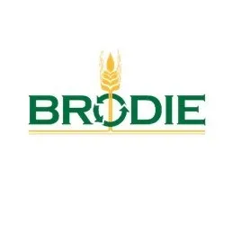 brodie-ag.com's icon