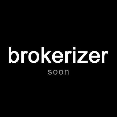 brokerizer.com's icon