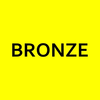 bronze.com.ar's icon