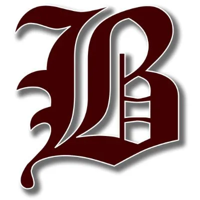 brookingsbaseball.com's icon