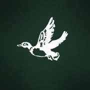 brooksfield.com.br's icon