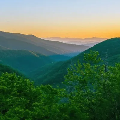 brooksidemountainmistbb.com's icon