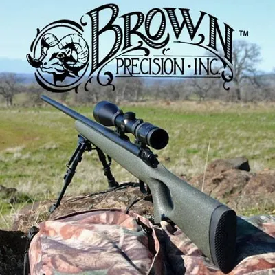 brownprecision.com's icon