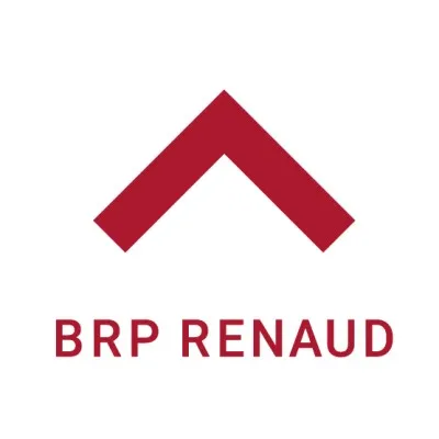 brp.de's icon