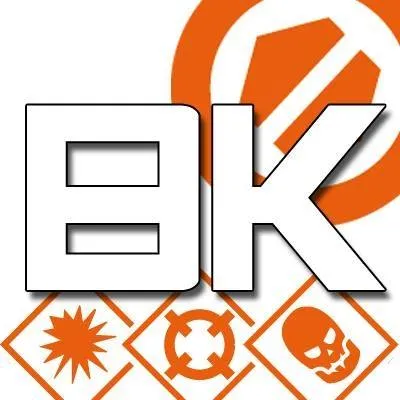 brueckenkopf-online.com's icon