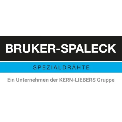 bruker-spaleck.com's icon